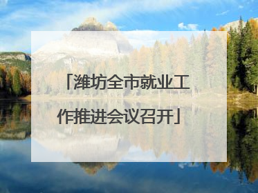 潍坊全市就业工作推进会议召开