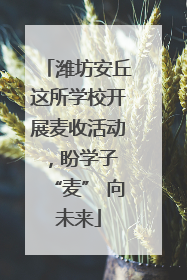 潍坊安丘这所学校开展麦收活动，盼学子 “麦” 向未来