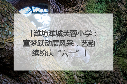 潍坊潍城芙蓉小学：童梦跃动展风采，艺韵缤纷庆“六一”
