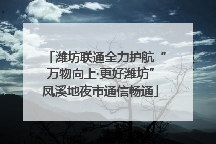 潍坊联通全力护航“万物向上·更好潍坊”凤溪地夜市通信畅通