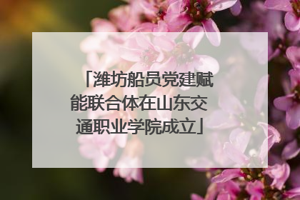 潍坊船员党建赋能联合体在山东交通职业学院成立