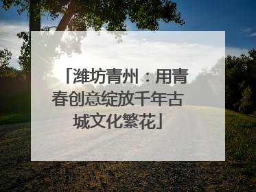 潍坊青州：用青春创意绽放千年古城文化繁花