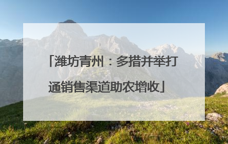 潍坊青州：多措并举打通销售渠道助农增收