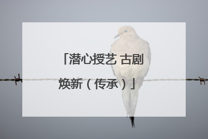 潜心授艺 古剧焕新（传承）