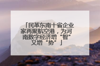 民革东南十省企业家再聚航空港，为河南数字经济增“智”又增“势”