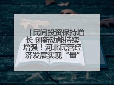 民间投资保持增长 创新动能持续增强！河北民营经济发展实现“量”“质”双提升