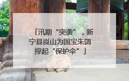 汛期“突袭”，新宁县崀山为国宝朱鹮撑起“保护伞”