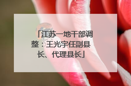 江苏一地干部调整：王光宇任副县长、代理县长