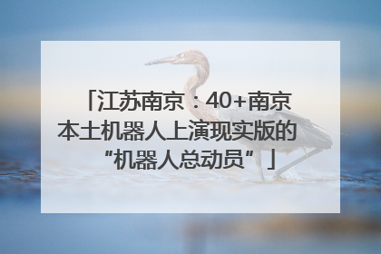 江苏南京：40+南京本土机器人上演现实版的“机器人总动员”