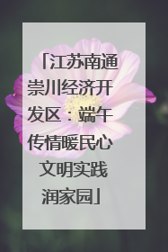 江苏南通崇川经济开发区：端午传情暖民心 文明实践润家园