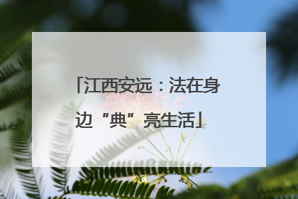 江西安远：法在身边“典”亮生活