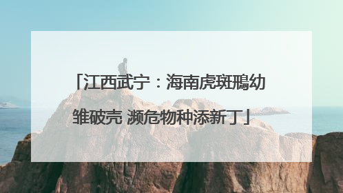 江西武宁：海南虎斑鳽幼雏破壳 濒危物种添新丁