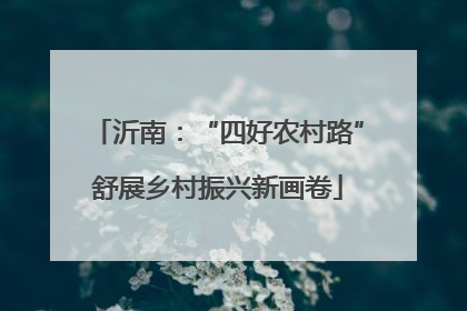 沂南：“四好农村路”舒展乡村振兴新画卷