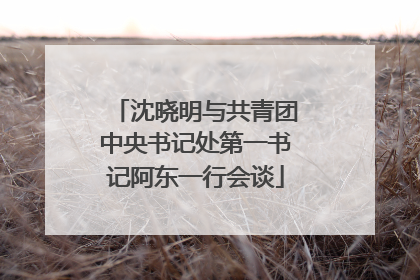 沈晓明与共青团中央书记处第一书记阿东一行会谈