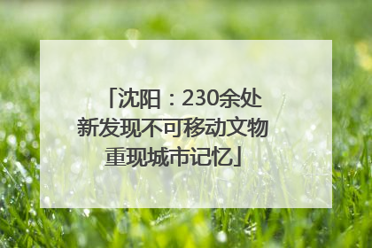 沈阳：230余处新发现不可移动文物重现城市记忆