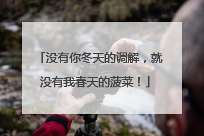 没有你冬天的调解，就没有我春天的菠菜！