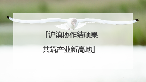 沪滇协作结硕果 共筑产业新高地
