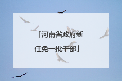 河南省政府新任免一批干部