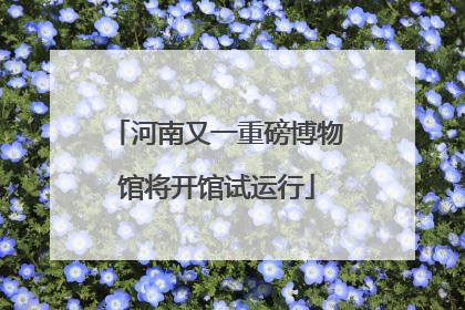 河南又一重磅博物馆将开馆试运行