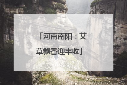 河南南阳：艾草飘香迎丰收