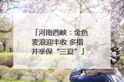 河南西峡：金色麦浪迎丰收 多措并举保“三夏”