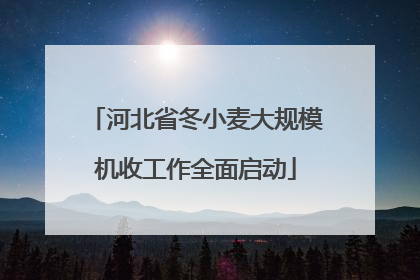 河北省冬小麦大规模机收工作全面启动