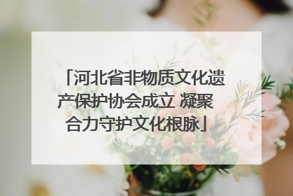 河北省非物质文化遗产保护协会成立 凝聚合力守护文化根脉