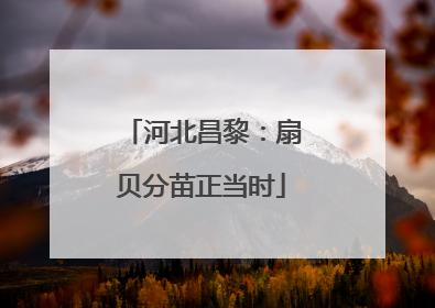 河北昌黎：扇贝分苗正当时
