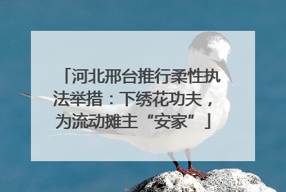 河北邢台推行柔性执法举措：下绣花功夫，为流动摊主“安家”