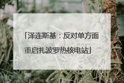 泽连斯基：反对单方面重启扎波罗热核电站