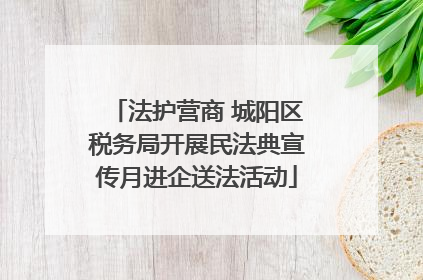法护营商 城阳区税务局开展民法典宣传月进企送法活动