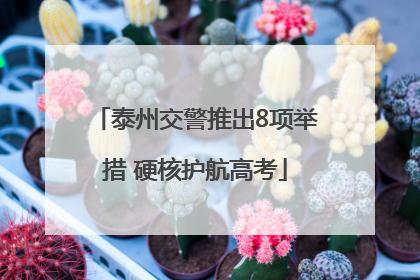 泰州交警推出8项举措 硬核护航高考