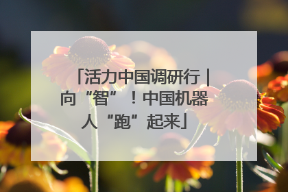 活力中国调研行｜向“智”！中国机器人“跑”起来