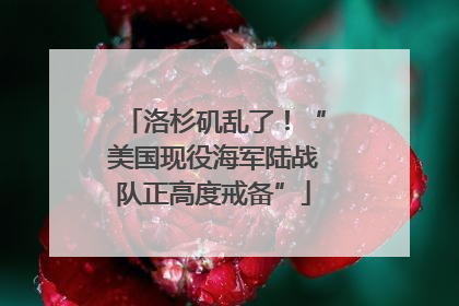 洛杉矶乱了！“美国现役海军陆战队正高度戒备”