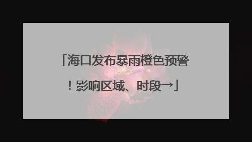 海口发布暴雨橙色预警！影响区域、时段→