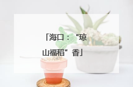 海口：“琼山福稻”香