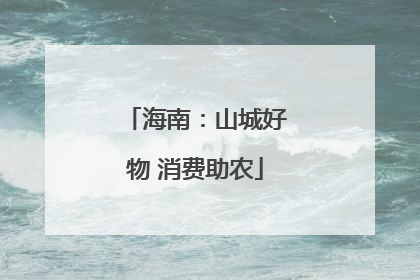海南：山城好物 消费助农