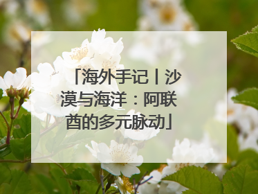 海外手记丨沙漠与海洋：阿联酋的多元脉动