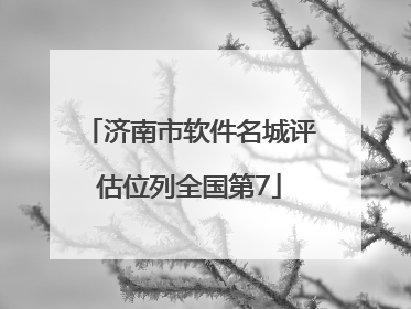 济南市软件名城评估位列全国第7