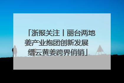 浙报关注丨丽台两地姜产业抱团创新发展 缙云黄姜跨界俏销