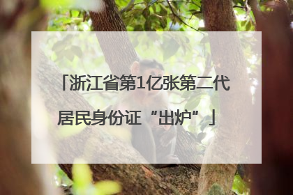 浙江省第1亿张第二代居民身份证“出炉”