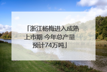 浙江杨梅进入成熟上市期 今年总产量预计74万吨
