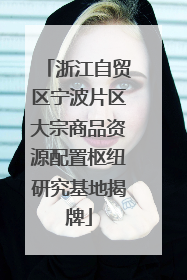 浙江自贸区宁波片区大宗商品资源配置枢纽研究基地揭牌