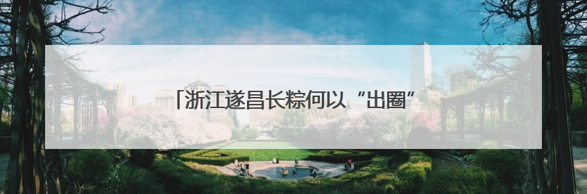 浙江遂昌长粽何以“出圈”？“七十二变”中探新路