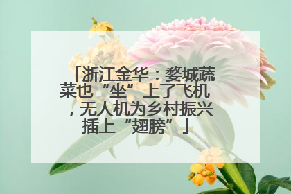 浙江金华：婺城蔬菜也“坐”上了飞机，无人机为乡村振兴插上“翅膀”