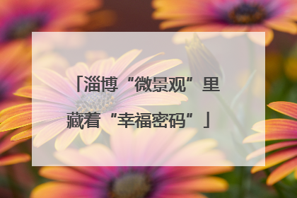 淄博“微景观”里藏着“幸福密码”