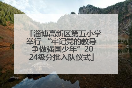 淄博高新区第五小学举行 “牢记党的教导 争做强国少年”2024级分批入队仪式