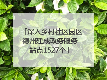 深入乡村社区园区 德州建成政务服务站点1527个