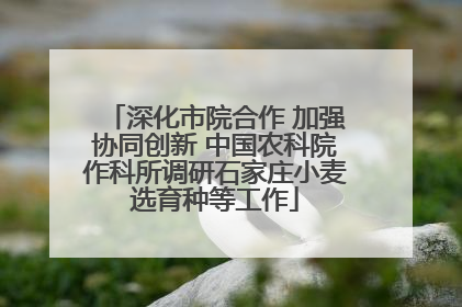 深化市院合作 加强协同创新 中国农科院作科所调研石家庄小麦选育种等工作