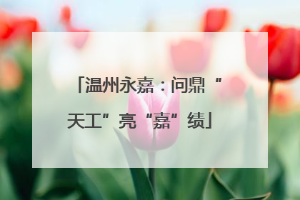 温州永嘉：问鼎“天工”亮“嘉”绩